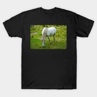 Small White Horse / Pony Eating Grass T-Shirt